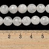 Natural Quartz Crystal Beads Strands X-G-E571-A11-02-5