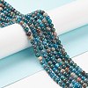 Natural Apatite Beads G-E481-05-6mm-01-2