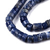 Natural Sodalite Beads Strands G-N326-148C-3