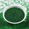 MIYUKI Round Rocailles Beads SEED-X0056-RR0146-2