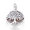 Alloy European Dangle Charms PALLOY-JF00355-04-2