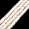 AB Color Plate Glass Beads Strands EGLA-P051-06A-B03-1
