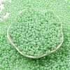 Glass Seed Beads SEED-K009-02B-13-2