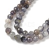 Natural Iolite Beads Strands G-G188-B04-06A-3