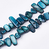 Freshwater Shell Beads Strands X-SHEL-S274-40B-1