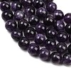 Natural Gemstone Beads Strands G-S038-6