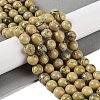 Natural Verdite Stone Beads Strands G-P530-B07-04-2