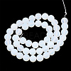 Opalite Beads Strands G-T106-339-3