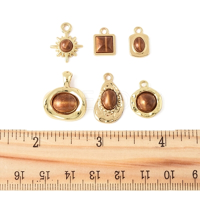 12Pcs 6 Styles Alloy Resin Pendants FIND-FS0004-05-1