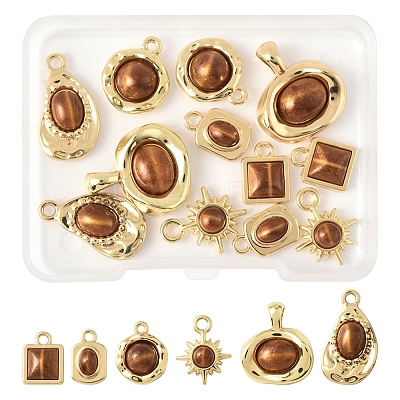12Pcs 6 Styles Alloy Resin Pendants FIND-FS0004-05-1