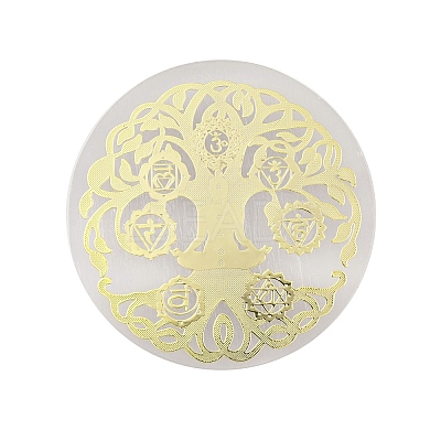 Flat Round Natural Selenite Slice Coasters DJEW-C015-02H-1