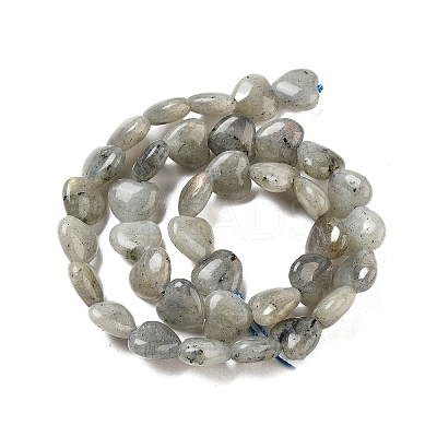 Natural Labradorite Beads Strands G-B022-32C-1