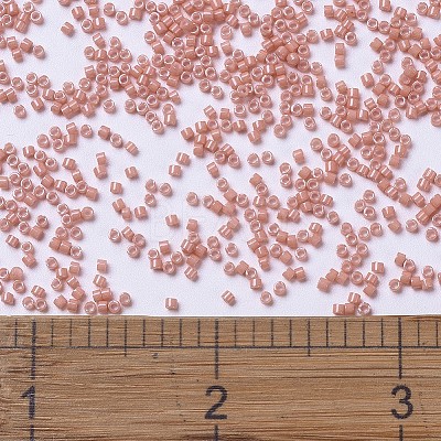 MIYUKI Delica Beads X-SEED-J020-DB1363-1