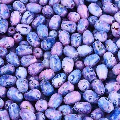 Picasso Glass Seed Beads SEED-N012-10F-1