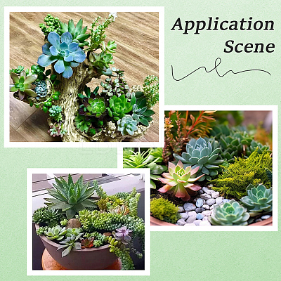 PVC Artificial Succulent Plant AJEW-SP0004-35C-1