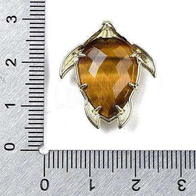 Natural Tiger Eye Pendants G-U019-02G-05-1