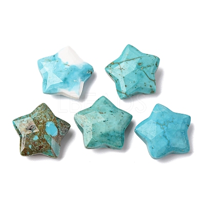 Natural Howlite Charms G-H241-04E-1