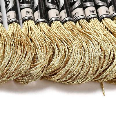 10 Skeins 12-Ply Metallic Polyester Embroidery Floss OCOR-Q057-A14-1