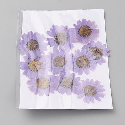 Pressed Dried Flowers DIY-WH0308-412C-1-1