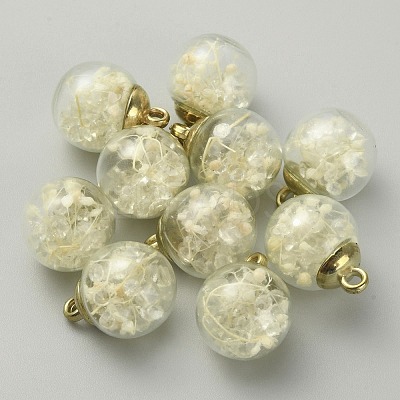 Transparent Glass Globe Pendants GLAA-TAC0005-003C-1