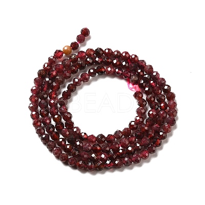 Natural Garnet Beads Strands G-I341-09B-1