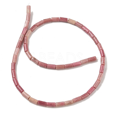 Natural Rhodonite Beads Strands G-B091-A21-01-1