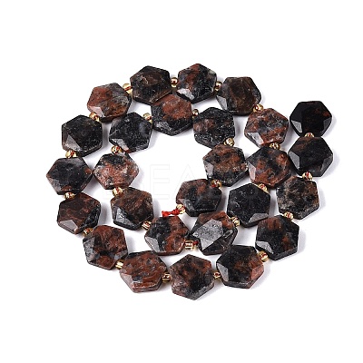 Natural Labradorite Beads Strands G-N368-01A-20-1