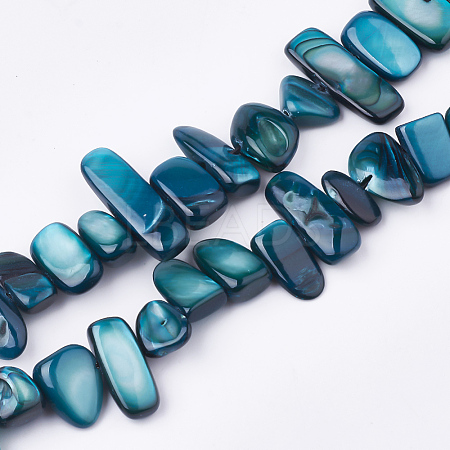 Freshwater Shell Beads Strands X-SHEL-S274-40B-1