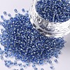 12/0 Glass Seed Beads SEED-A005-2mm-26-1
