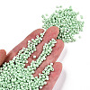8/0 Baking Paint Glass Seed Beads SEED-R051-07B-08-5