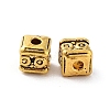 Tibetan Style Alloy Beads FIND-Q094-33AG-2