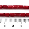 Synthetic Turquoise Beads Strands X-TURQ-G120-4x6mm-07-3