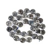 Natural Labradorite Beads Strands G-C116-A46-01-3