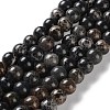 Dyed Natural Regalite/Imperial Jasper/Sea Sediment Jasper Beads Strands G-B124-C01-2