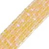 Frosted Transparent Glass Beads Strands FGLA-M002-01G-1