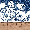 Baking Paint Glass Seed Beads X-SEED-S042-05B-75-4