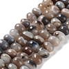 Natural Agate Beads Strands G-G021-03B-05-1