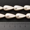Electroplate Shell Pearl Beads Strands BSHE-G010-10x20mm-01-5