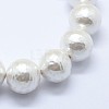Shell Pearl Beads Strands BSHE-K053-02-10mm-3
