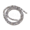 Natural Freshwater Shell Dyed Beads Strands SHEL-R100-11A-02-2