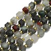 Natural Africa Bloodstone Beads Strand G-I376-D75-01-1