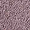 TOHO 11/0 Round Beads X-SEED-TR11-PF0554F-2
