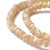 Natural Trochid Shell/Trochus Shell Beads Strands SSHEL-O001-24B-01-2