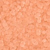 FGB Frosted Transparent Glass Seed Beads SEED-N013-06A-04-3