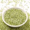 Glass Seed Beads X-SEED-S042-04B-24-2