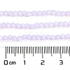 Baking Paint Transparent Glass Beads Strands DGLA-F029-J2mm-07-5