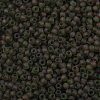 TOHO Round Seed Beads X-SEED-TR11-0250FM-2