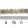 Natural Labradorite Beads Strands G-G085-B25-02-4