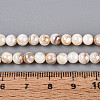 AB Color Natural Freshwater Shell Beads Strands BSHE-T014-40B-4