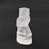 Natural Selenite Figurines DJEW-Q006-01G-3